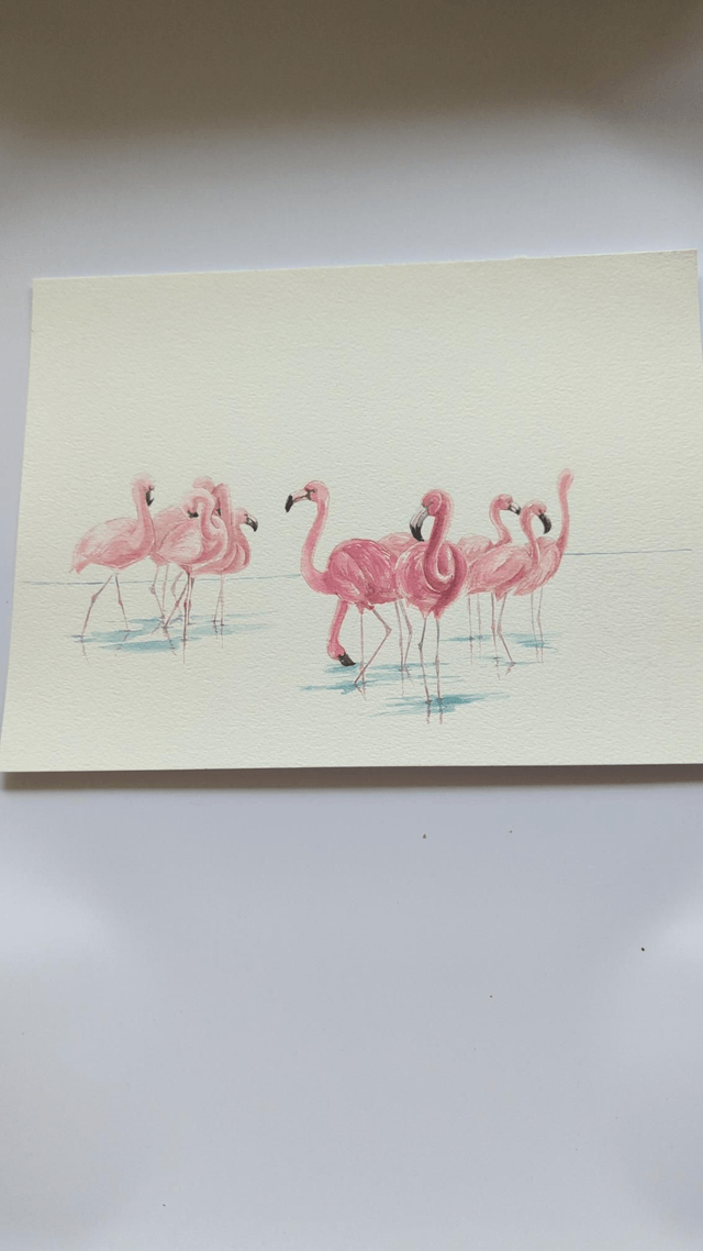 Groupe de flamant rose