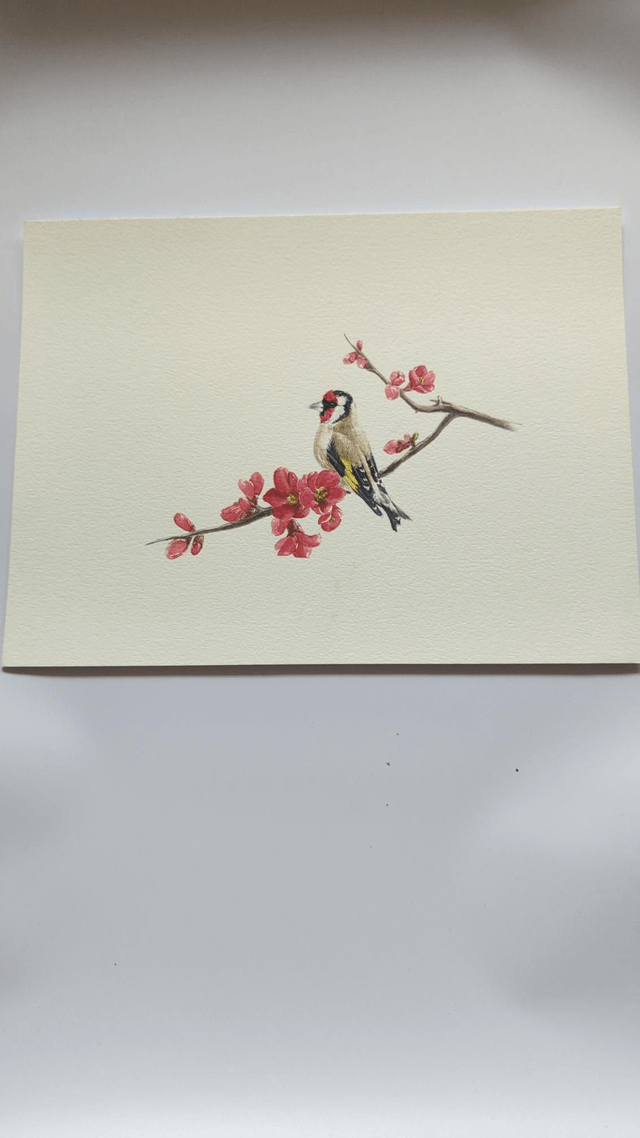 Chardonneret sur branche de cognassier du Japon