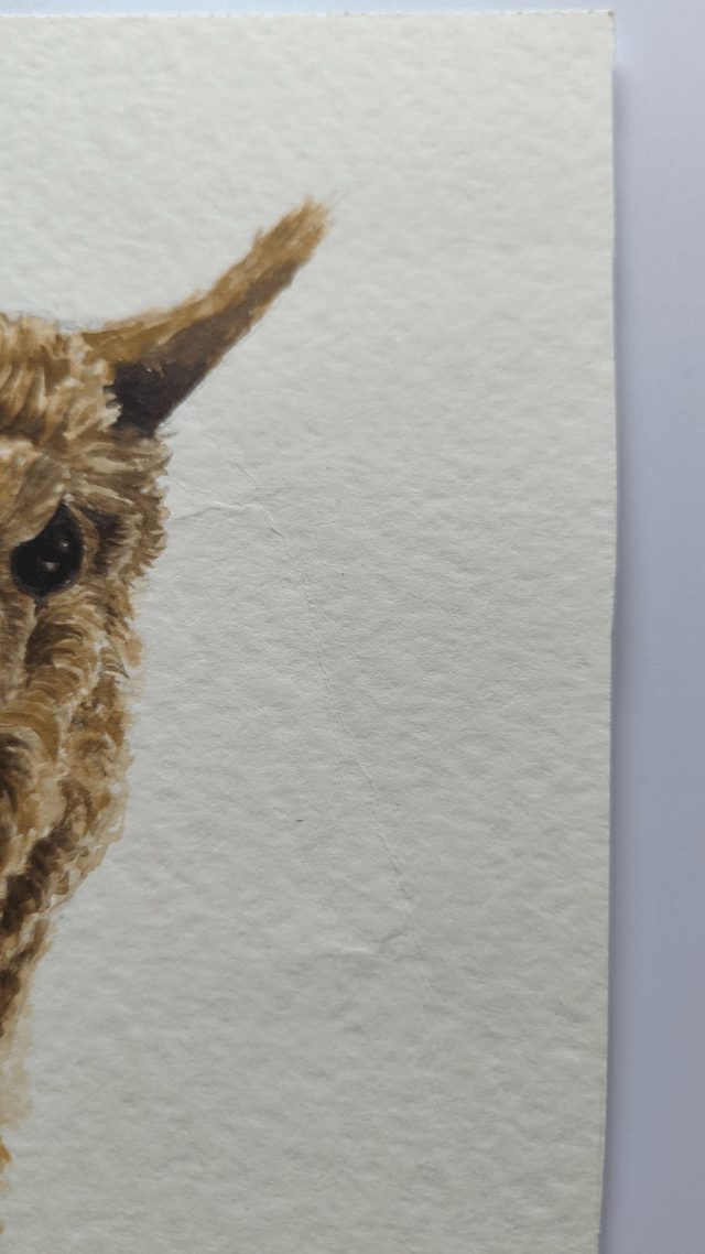 Lama