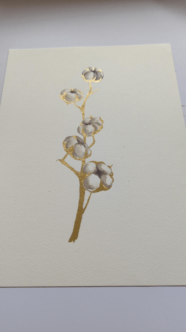 Fleur de coton