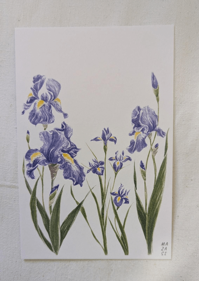 Carte Iris