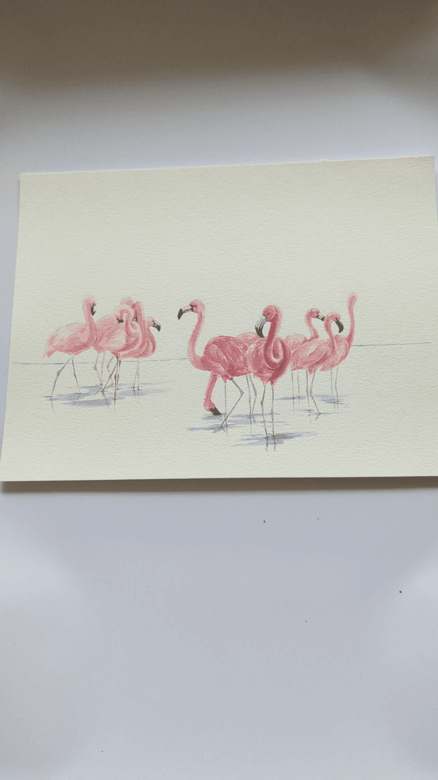 Groupe de flamant rose