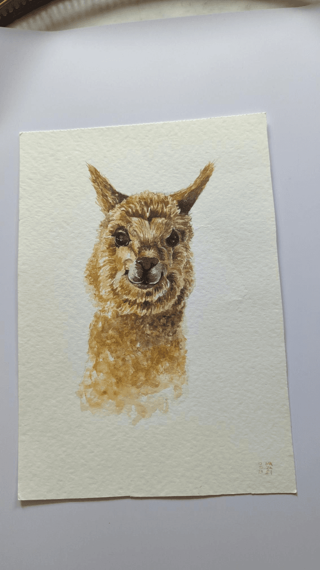 Lama