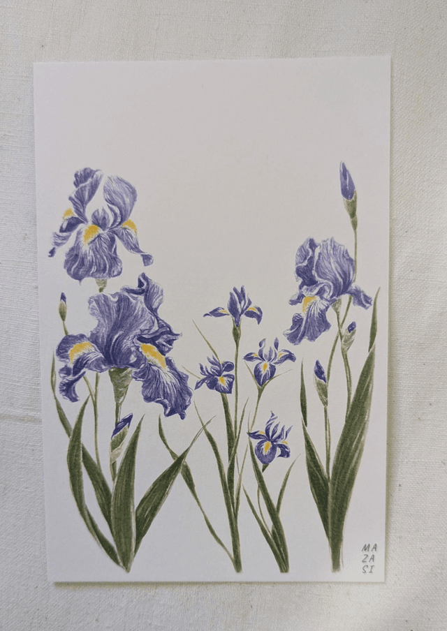 Carte Iris