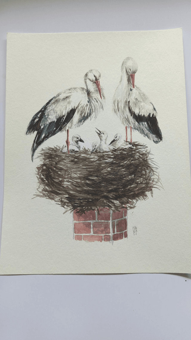 Nid de cigogne