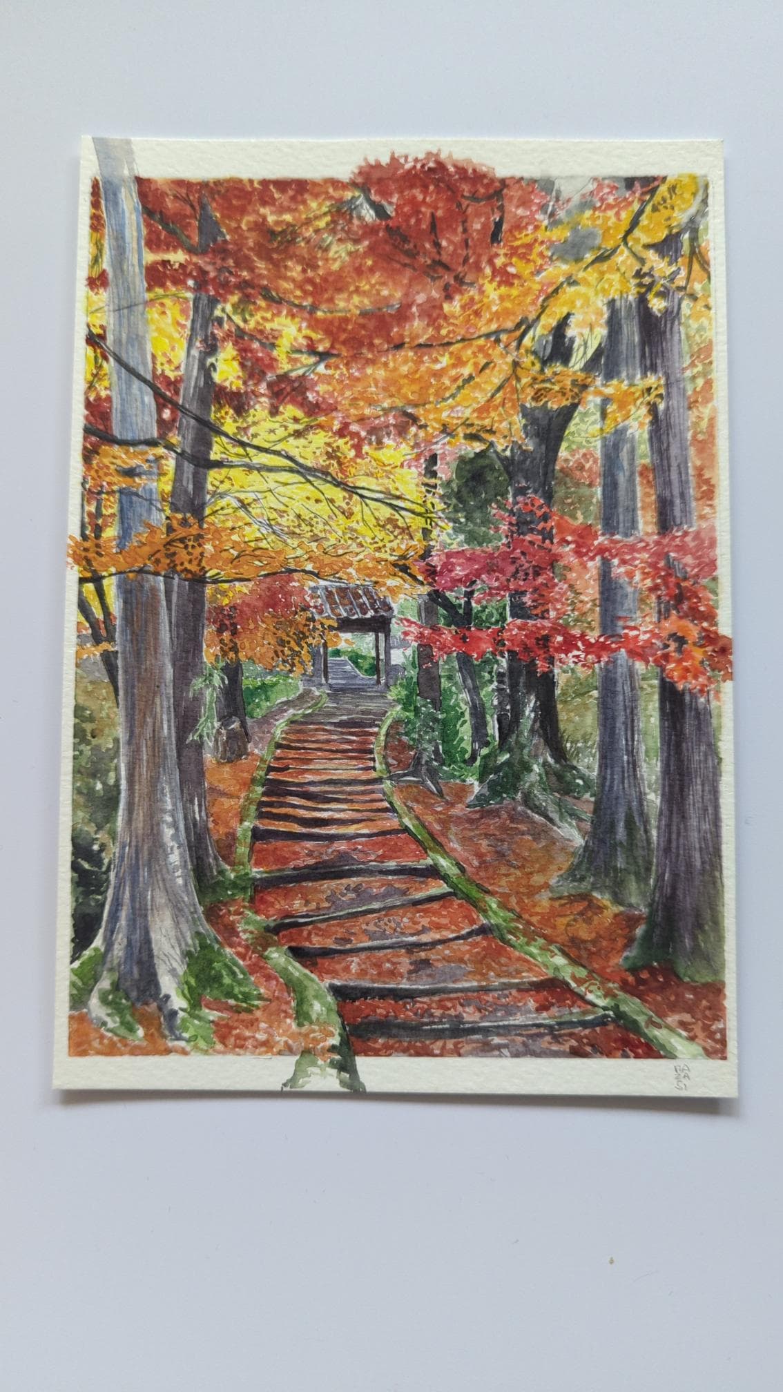 Ambiance d'automne au Japon